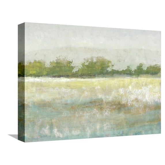 Art.com Spring Treeline II Stretched Canvas Print Wall Art by Tim OToole, 16" x 12"