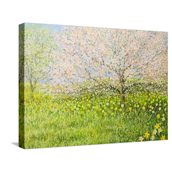 Art.com Springtime Impression Stretched Canvas Print Wall Art by kirilstanchev, 24" x 18"