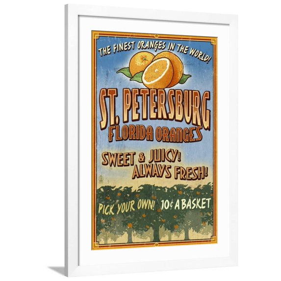 Art.com St. Petersburg, Florida - Orange Grove Vintage Sign Art Print by Lantern Press, White Frame Wall Art, 32" x 44"