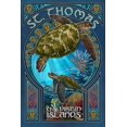 St. Thomas, U.S. Virgin Islands Sea Turtle Art Nouveau Art