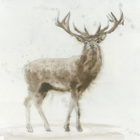 Art.com Stag v.2 Art Print by James Wiens, 16" x 16"