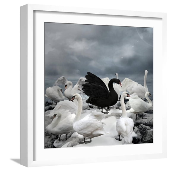 Art.com Stand out of the Crowd - the Black Swan Art Print by Ellerslie, White Frame Wall Art, 21" x 21"