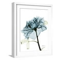 thumbnail image 1 of Art.com Steal Rose 2 Art Print by Albert Koetsier, White Frame Wall Art, 17" x 21", 1 of 5