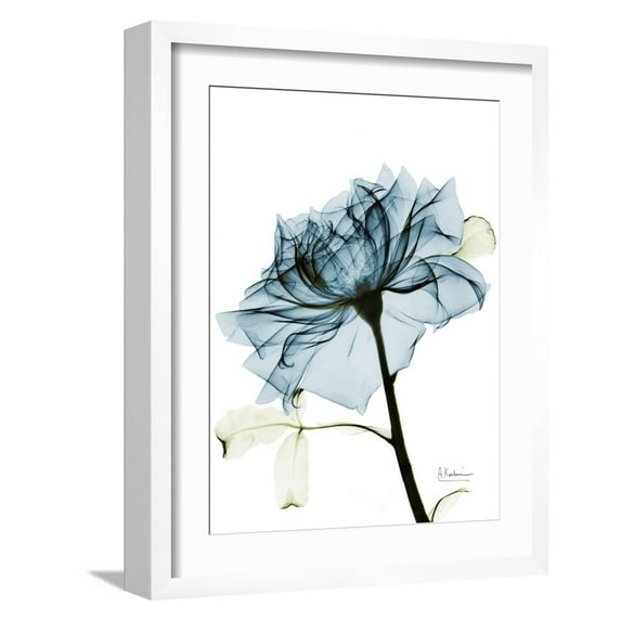 Art.com Steal Rose 2 Art Print by Albert Koetsier, White Frame Wall Art, 17" x 21"