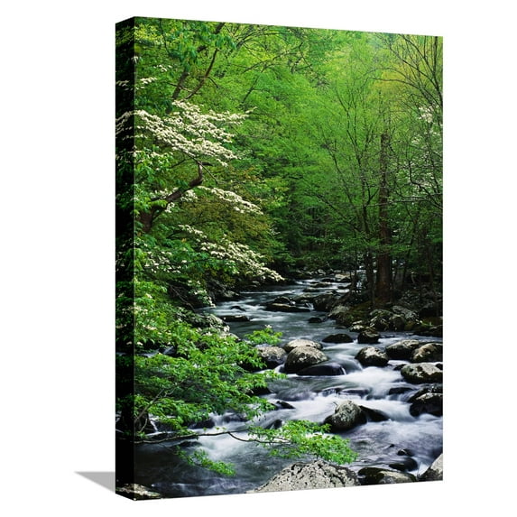 Art.com Stream in Lush Forest Stretched Canvas Print Wall Art by Ron Watts, 12" x 16"