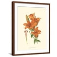 thumbnail image 1 of Art.com Striking Lilies II Art Print by Edward Step, Brown Frame Wall Art, 23" x 29", 1 of 5