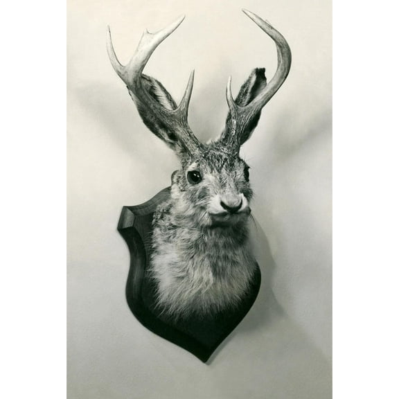 Art.com Stuffed Jackalope Art Print, 12" x 18"