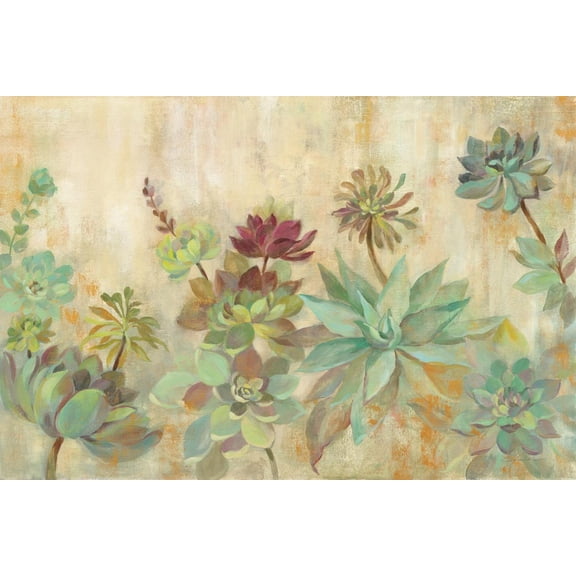 Art.com Succulent Garden Art Print by Silvia Vassileva, 18" x 12"