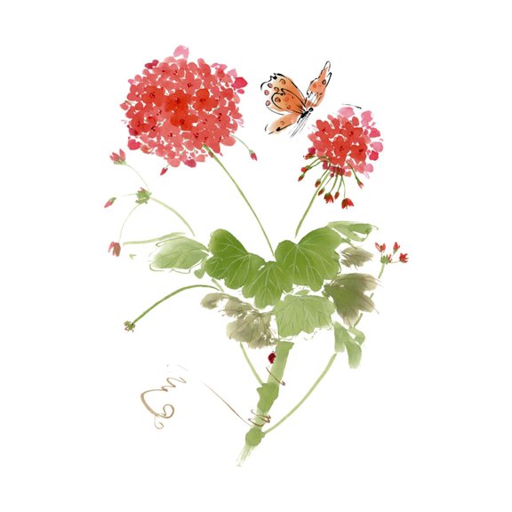 Art.com Summer Rapture II Art Print by Nan Rae, 24" x 32"
