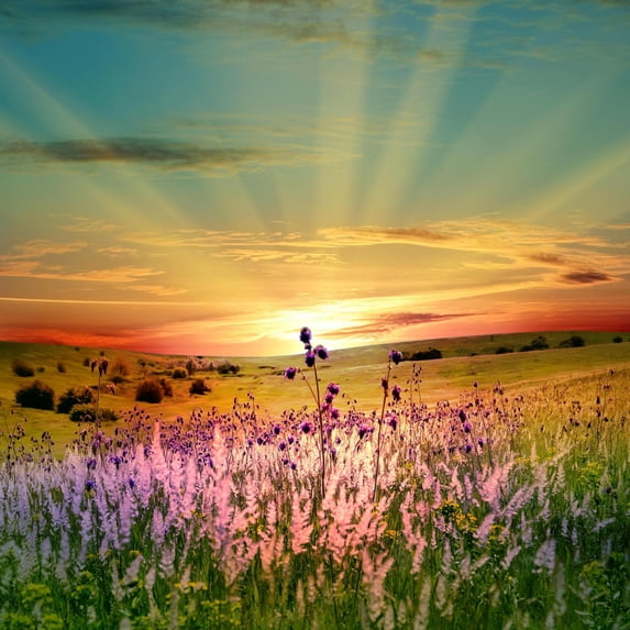 Art.com Sunset Is In The Field Art Print by nadiya_sergey, 30" x 30"