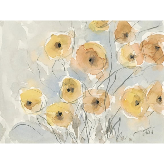 Art.com Sunset Poppies I Art Print by Samuel Dixon, 24" x 18"