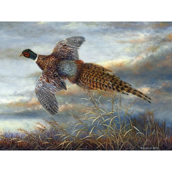 Art.com Taking Flight Art Print by Carolyn Mock, 16" x 12"