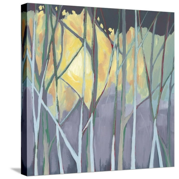 Art.com Tangled Twilight I Stretched Canvas Print Wall Art by Grace Popp, 24" x 24"