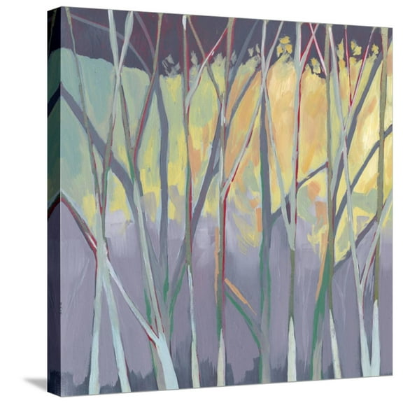 Art.com Tangled Twilight II Stretched Canvas Print Wall Art by Grace Popp, 24" x 24"