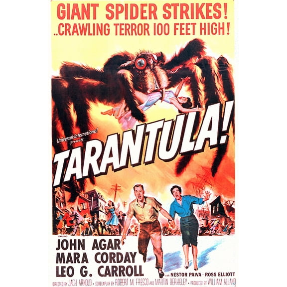 Art.com Tarantula Photo, 24" x 36"