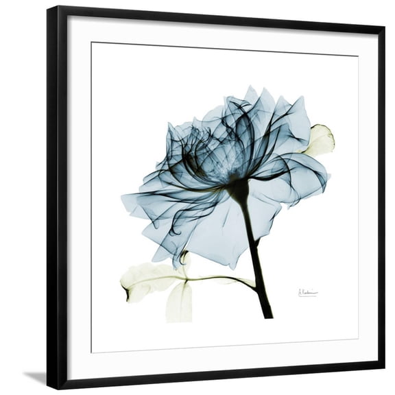 Art.com Teal Rose Photographic Print by Albert Koetsier, Black Frame Wall Art, 29" x 29"