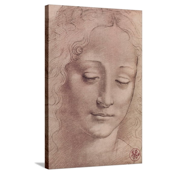 Art.com Testa di Giovinetta Stretched Canvas Print Wall Art by Leonardo da Vinci, 24" x 36"