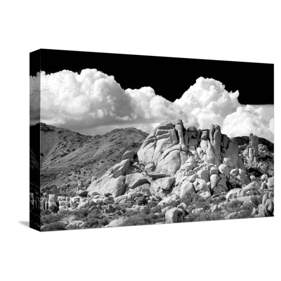 Art.com Texas Canyon Rocks BW Stretched Canvas Print Wall Art by Douglas Taylor, 18" x 12"