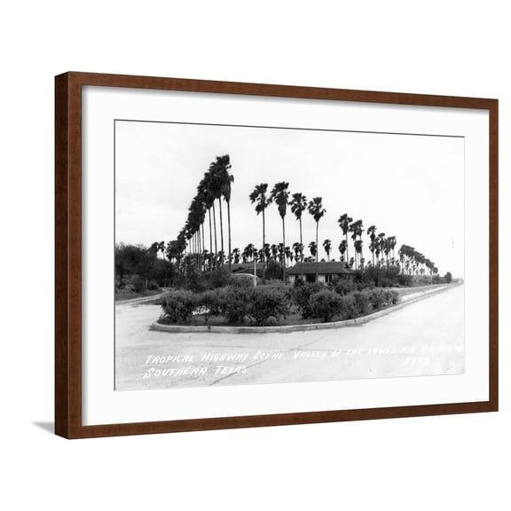 Art.com Texas - Palms along the Highway in Lower Rio Grande Valley Art Print by Lantern Press, Brown Frame Wall Art, 29" x 21"
