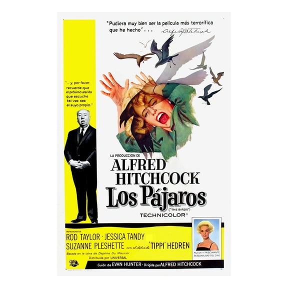 Art.com The Birds, (aka Los Pajaros), Alfred Hitchcock, Tippi Hedren, 1963 Photo, 12" x 16"