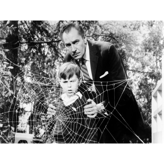 Art.com The Fly, Charles Herbert, Vincent Price, 1958, Spider Web Photo, 16" x 12"
