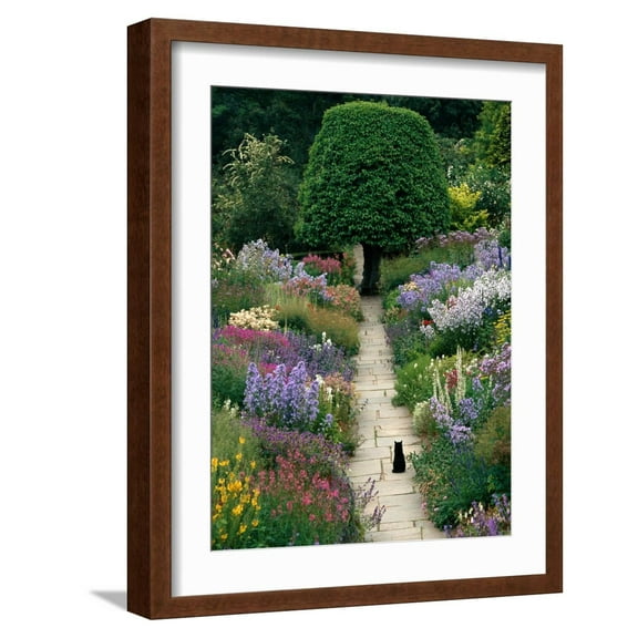 Art.com The Garden Cat Photographic Print by Greg Gawlowski, Brown Frame Wall Art, 17" x 21"