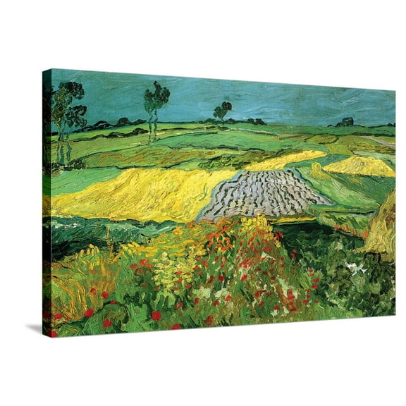 Art.com The Plains at Auvers Stretched Canvas Print Wall Art by Vincent van Gogh, 36" x 24"