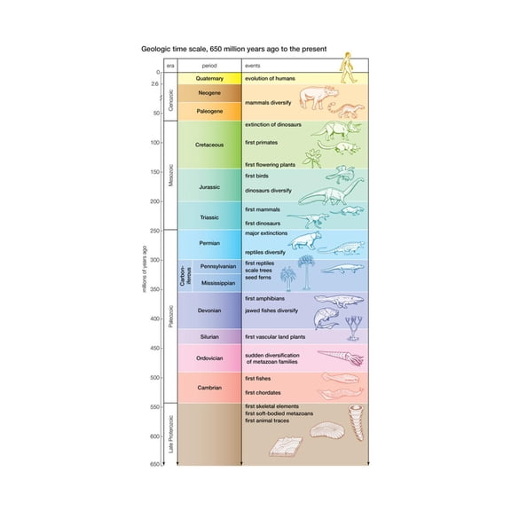 Art.com The geologic time scale from 700,000,000 years ago to the present Art Print by Encyclopaedia Britannica, 12" x 18"