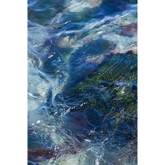 Art.com Tide Pool I Photo by Rita Crane, 12" x 18"