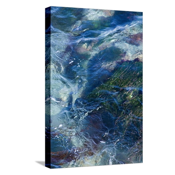 Art.com Tide Pool I Stretched Canvas Print Wall Art by Rita Crane, 12" x 18"