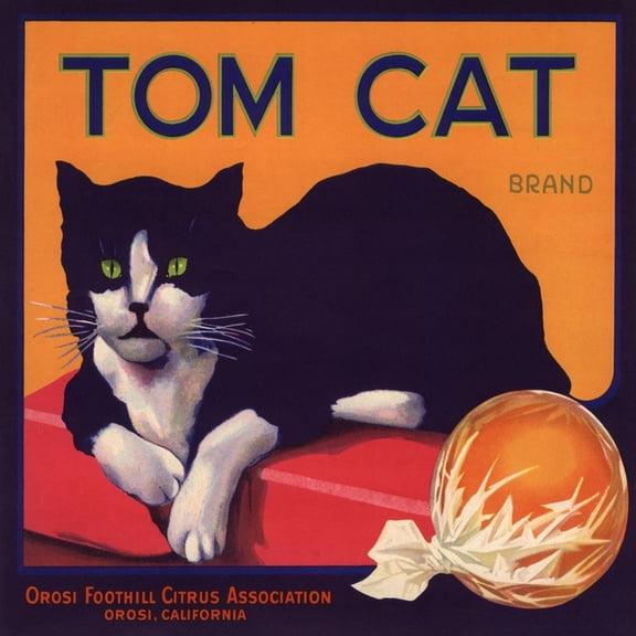 Art.com Tom Cat Brand - Orosi, California - Citrus Crate Label Art Print by Lantern Press, 16" x 16"