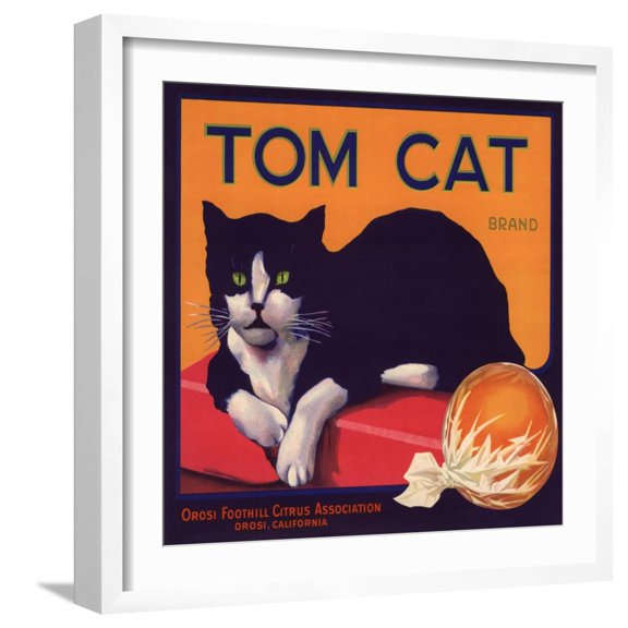 Art.com Tom Cat Brand - Orosi, California - Citrus Crate Label Art Print by Lantern Press, White Frame Wall Art, 21" x 21"