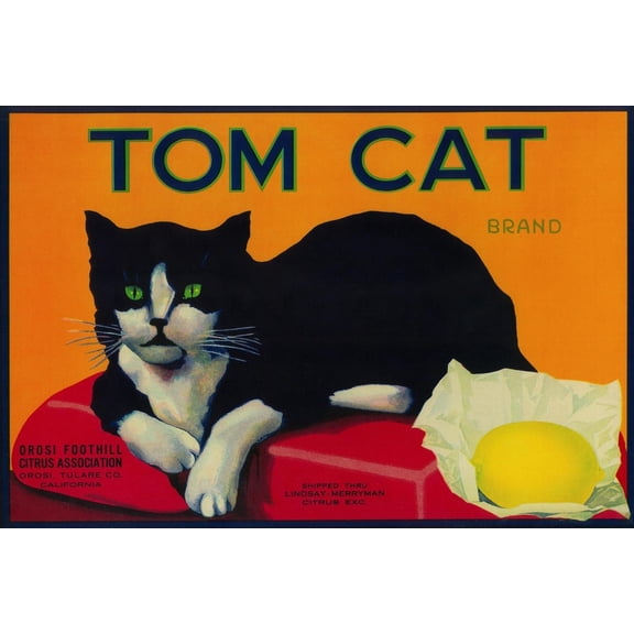 Art.com Tom Cat Lemon Label - Orosi, CA Art Print by Lantern Press, 18" x 12"