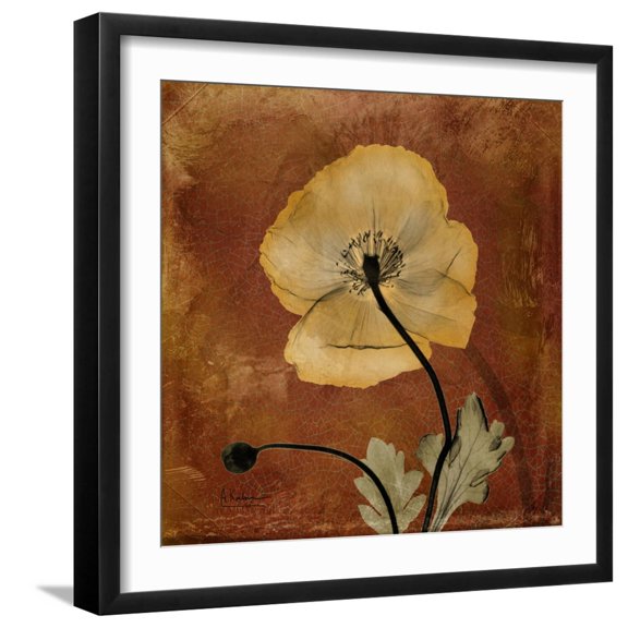 Art.com Topaze Opus Iceland Poppy Art Print by Albert Koetsier, Black Frame Wall Art, 21" x 21"