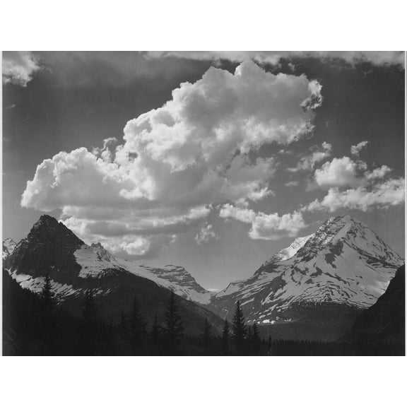 Art.com Tops Of Pine Trees Snow Covered In Glacier National Park Montana. 1933-1942 Art Print by Ansel Adams, 32" x 24"