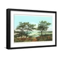 thumbnail image 1 of Art.com Torrey Pines, San Diego County, California Art Print, Black Frame Wall Art, 23" x 17", 1 of 5
