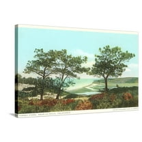 Art.com Torrey Pines, San Diego County, California Stretched Canvas Print Wall Art, 36" x 24"