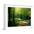 thumbnail image 1 of Art.com Track Leading Through Lanhydrock Beech Woodland with Bluebells in Spring, Cornwall, UK Photographic Print by Ross Hoddinott, White Frame Wall Art, 29" x 23", 1 of 5