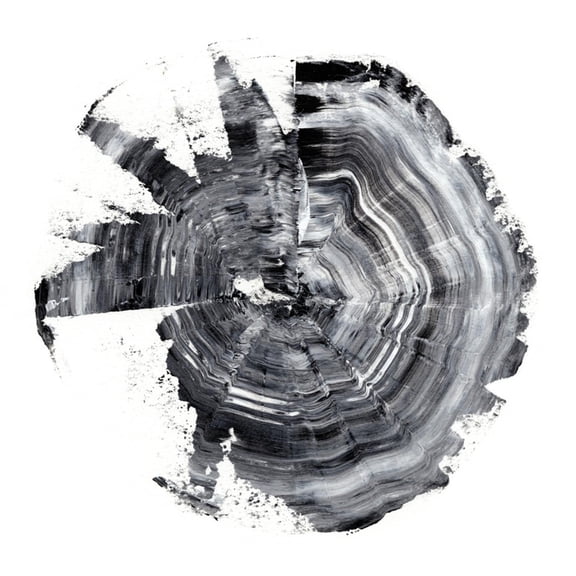 Art.com Tree Ring Abstract II Art Print by Ethan Harper, 24" x 24"