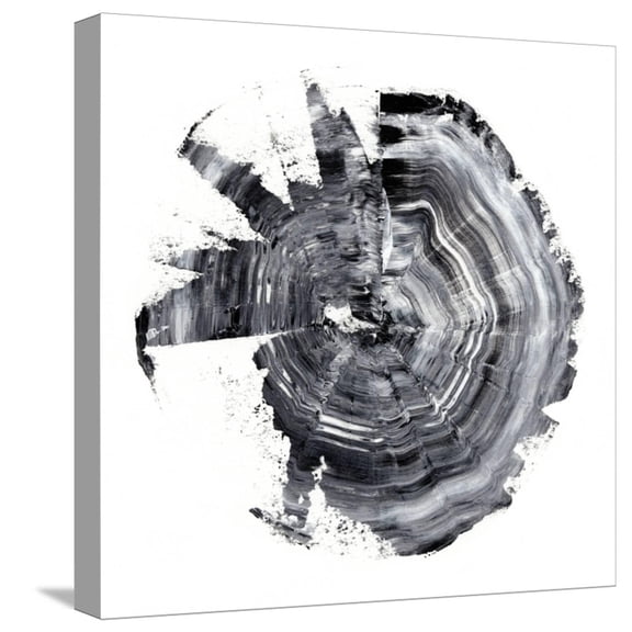 Art.com Tree Ring Abstract II Stretched Canvas Print Wall Art by Ethan Harper, 16" x 16"
