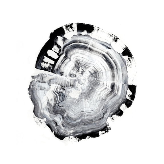 Art.com Tree Ring Abstract III Art Print by Ethan Harper, 16" x 16"