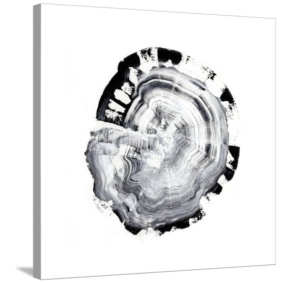 Art.com Tree Ring Abstract III Stretched Canvas Print Wall Art by Ethan Harper, 30" x 30"