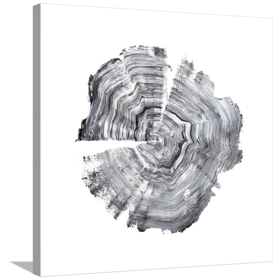 Art.com Tree Ring Abstract IV Stretched Canvas Print Wall Art by Ethan Harper, 30" x 30"