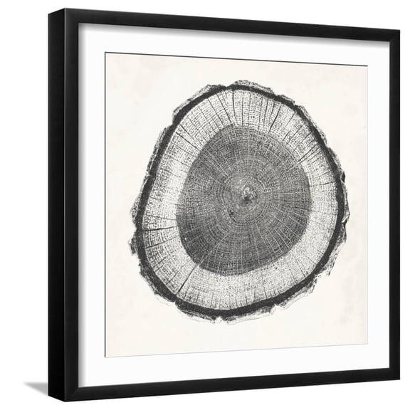 Art.com Tree Ring II Art Print by Vision Studio, Black Frame Wall Art, 21" x 21"