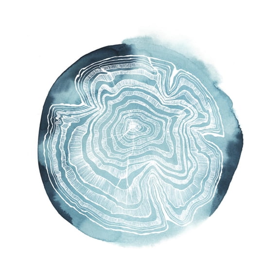 Art.com Tree Ring Overlay IV Art Print by Grace Popp, 30" x 30"