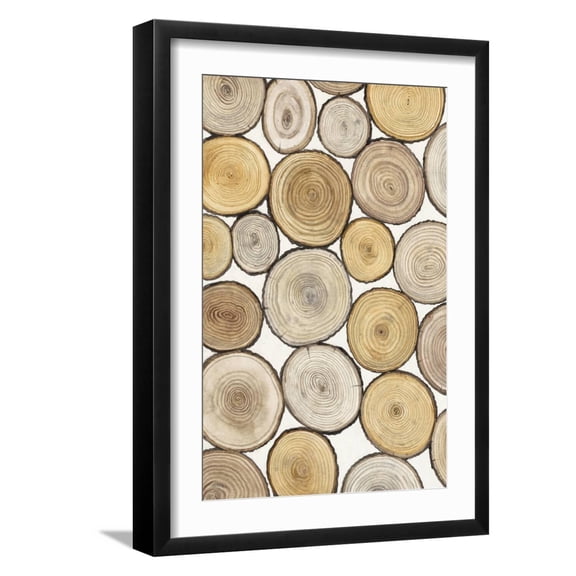 Art.com Tree Ring Study I Art Print by Tim OToole, Black Frame Wall Art, 17" x 23"
