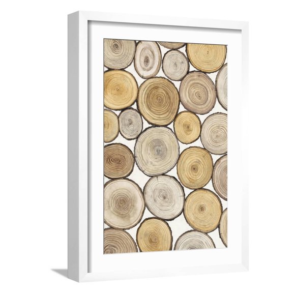 Art.com Tree Ring Study I Art Print by Tim OToole, White Frame Wall Art, 17" x 23"