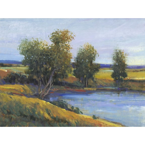 Art.com Tree's Reflection II Art Print by Tim O'toole, 32" x 24"
