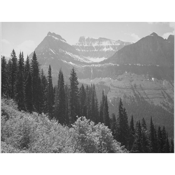 Art.com Trees And Bushes In Foreground Mountains In Bkgd In Glacier National Park Montana. 1933-1942 Art Print by Ansel Adams, 32" x 24"