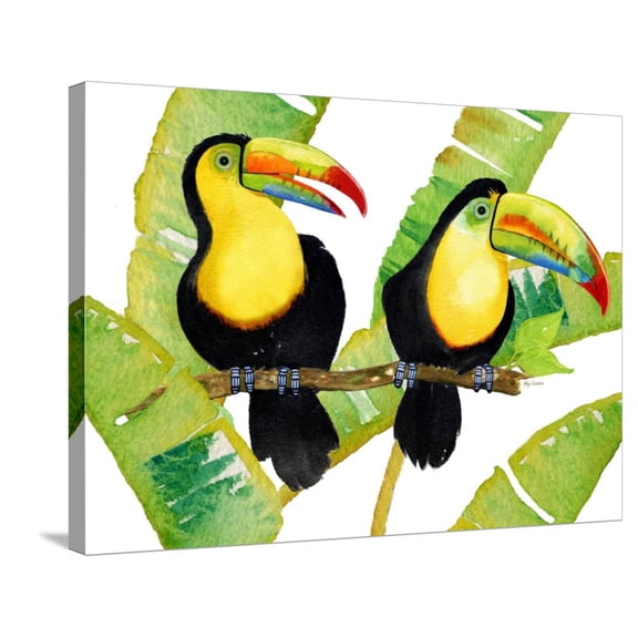 Art.com Tropcial Toucan Pair Stretched Canvas Print Wall Art by Mary Escobedo, 32" x 24"